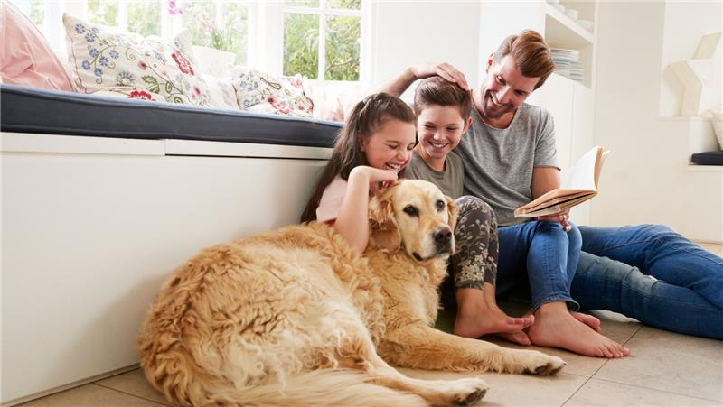 5 Tips for Choosing the Right Pet for Your Family